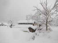 容赦なく降り続いた・・・長野市でも珍しい大雪だ。