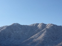 うっすら雪化粧した太郎山（会社より）