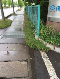 会社入口、歩道には水たまりができている。