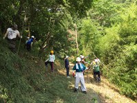 のこぎり、カマ、ナタ等で作業している様子