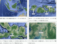 インドネシアのスンバワ島のドンブ県に1ha植林しました